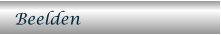 Beelden