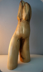 meidoorn 35 cm
