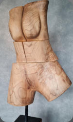 wortel dennenhout  100 cm