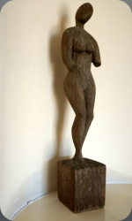 merantie 35 cm