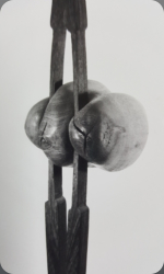 essenhout / wengé 80 cm